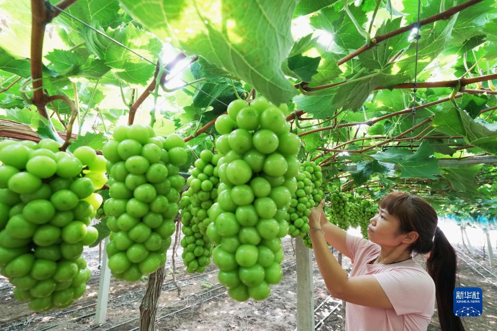 天神娱乐代表游戏